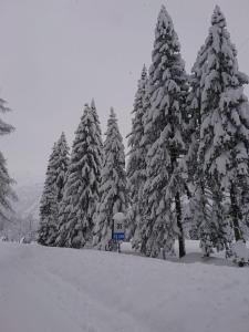 冬天的Mini Chalet Walser