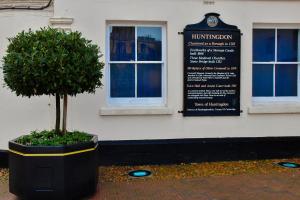 a tree in a pot in front of a building at Black Bull Godmanchester in Huntingdon