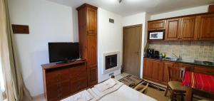 Zimmer mit einer Küche mit Sofa und einem TV in der Unterkunft Луксозно студио в Банско - малко кътче от рая. in Bansko