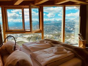 山林小屋周边自然景观