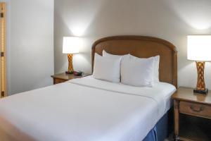 Postel nebo postele na pokoji v ubytování Hilton Vacation Club Polynesian Isles Kissimmee