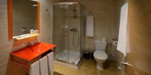 a bathroom with a shower and a toilet and a sink at Domus Viatoris in Sahagún