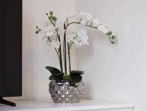 盧森堡的住宿－EXECUTIVE SINGLE ROOM WITH EN-SUITE in GUEST HOUSE CITY CENTRE，相簿中的一張相片