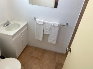 a bathroom with a sink and a toilet and towels at All Seasons Motel in Port Elgin
