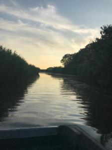 een uitzicht op een rivier vanaf een boot bij Iris't; Dijkhuisje in de polders van Groede. in Groede