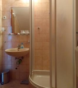 a bathroom with a shower and a sink at Rest House Stiniva in Podšpilje