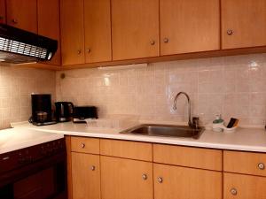 A kitchen or kitchenette at ILIOCHARI sea view apartments Oropos - Kalamos