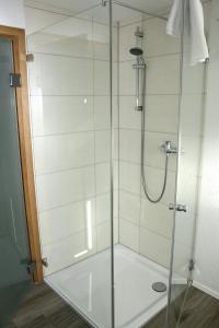 a shower with a glass door in a bathroom at Hotel Landgasthof Grüner Baum in Hochdorf