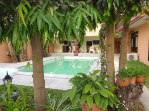 a swimming pool in a yard with trees and plants at Roc Heights in Bakau