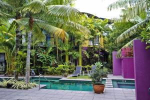 un complejo con piscina y palmeras en Dreamcatcher Beach-Side Apartments, en Port Douglas