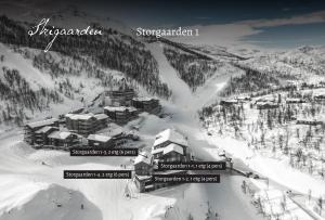 arial view of a ski resort in the snow at Skigaarden in Hemsedal