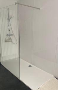 a shower with a glass door in a bathroom at Logies De blauwe regen in Beveren