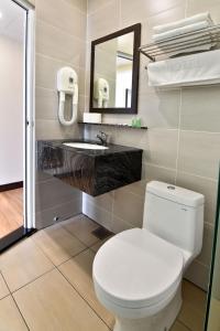 a bathroom with a toilet and a sink and a mirror at YANGTZE HOTEL 长江酒店 in Johor Bahru