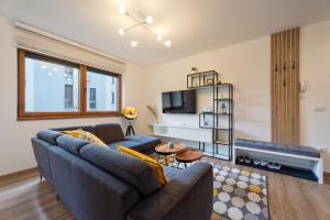 ein Wohnzimmer mit einem Sofa und einem TV in der Unterkunft Apartman Neva Zlatibor in Zlatibor