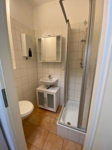 a bathroom with a toilet and a sink and a shower at Apartment nahe Unikliniken in Erlangen +4 photos