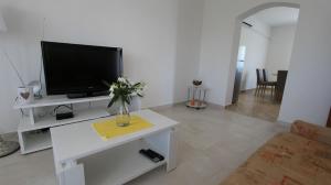 TV a/nebo společenská místnost v ubytování Apartments Stijak-Sorum