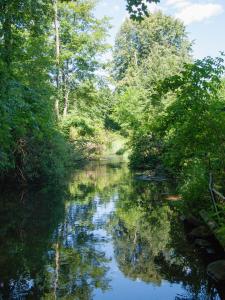 a river with trees and reflections in the water at Mazurskiewczasy in Kruklanki