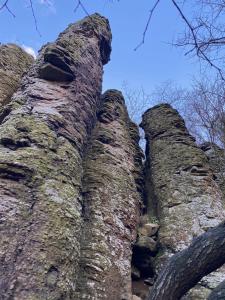 Fotografia z galérie ubytovania Villa Trófea v destinácii Hévíz