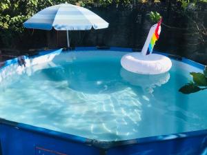 a swimming pool with a inflatable swim ring and an umbrella at Hotel Your House in Alajuela