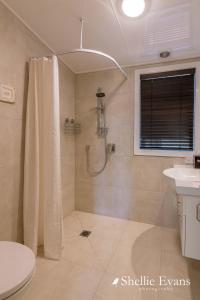 a bathroom with a shower and a toilet and a sink at Night Sky Cottage - Kahu Cottage - HOT TUB in Twizel