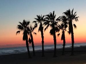 a group of palm trees on the beach at sunset at Apartamento CERCA PLAYA CON BALCON Y BBQ in Calafell