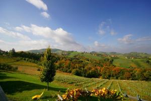 Galeriebild der Unterkunft Gäste- und Vitalhaus Sauer in Kitzeck im Sausal