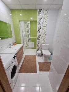 ein Badezimmer mit einer Waschmaschine und einem WC in der Unterkunft Center Apartments Tukums in Tukums