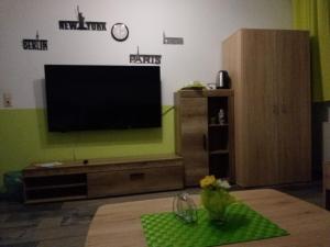 索林根的住宿－Gäste Monteurzimmer Haus Südstadt，客厅配有电视和绿色墙壁