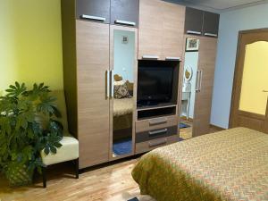 TV a/nebo společenská místnost v ubytování CASA DE SUB MAGURA