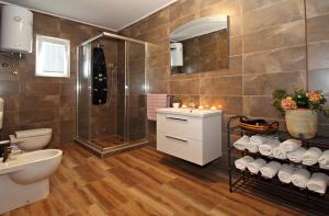 a bathroom with a shower and a toilet and a sink at Apartment Milenka in Čilipi