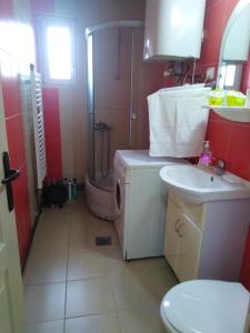 a bathroom with a sink and a shower and a toilet at Mala bašta in Bajina Bašta +27 photos
