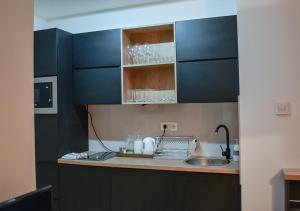Dapur atau dapur kecil di Apartmani Novi Sad MG44