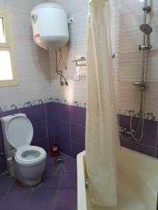 a bathroom with a toilet and a shower in it at Elite Homes 3BR Garden Apartment Families Only in 6th Of October +13 photos