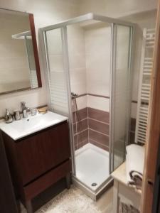 a bathroom with a shower and a sink at Hotel & Restaurant Le Chalvet in Embrun