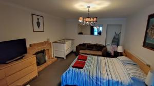 - une chambre avec un lit, un canapé et une télévision dans l'établissement Dunvegan House, à Helmsdale
