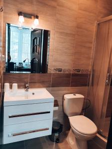 y baño con aseo, lavabo y espejo. en Hotel "XAVIER", en Lubycza Królewska