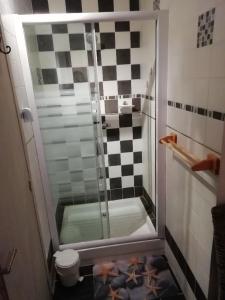 a shower with a glass door in a bathroom at Hotel & Restaurant Le Chalvet in Embrun