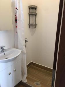 a small bathroom with a sink and a shower at Apartments ADRIANA in Žuljana