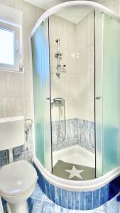 bagno con doccia e servizi igienici. di Apartmani Stella a Drage