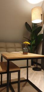 Pension Bakema Ameland的休息区