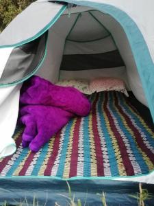 un animal violet farci dormant sur un lit dans une tente dans l'établissement Coorg River Rock Camping, à Madikeri