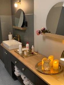 eine Badezimmertheke mit einem Waschbecken und einem Spiegel in der Unterkunft Hotel *** NAT Ustroń in Ustroń
