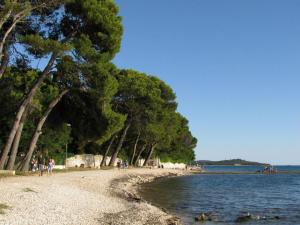 a group of people walking on a beach next to the water at Apartments Drandic in Fažana