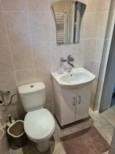 a bathroom with a toilet and a sink at Мальовица - къща за гости in Dospey Makhla +12 photos
