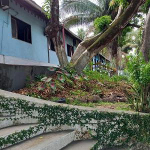 a tree with white flowers growing on the steps of a house at A Pousada da Praia in São Luís