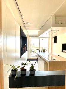 根特的住宿－Desk Till Dawn，黑色柜台上种有盆栽植物的厨房