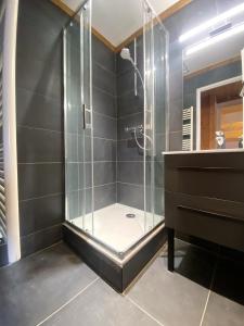 ヴァル・トランスにあるLac du Louのバスルーム(ガラス張りのシャワー、シンク付)