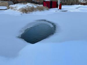 Romantic Wooden Lodge,Sauna,Schwimmteich,alleinstehend,absolut ruhig im Winter