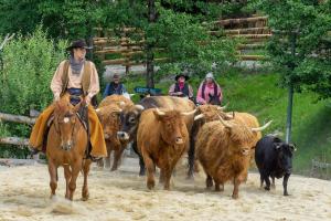 a man on a horse herding cattle on a dirt road at Pullman City Westernstadt in Eging