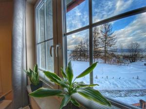 Apartamenty Paszkówka v zime